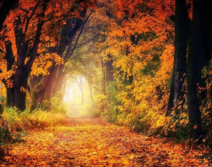 Hotel Stmauritius Forte Dei Marmi Magazine 09