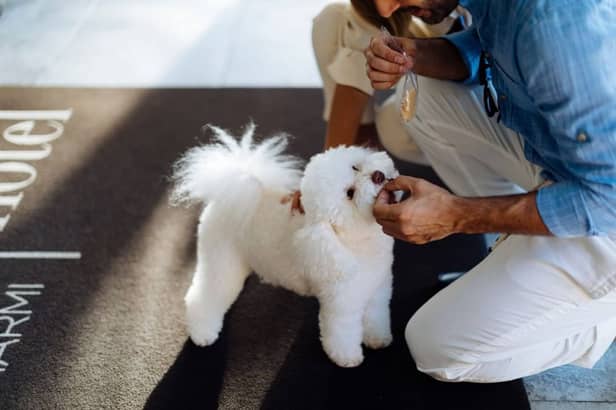 Hotel Stmauritius Forte Dei Marmi Social 01